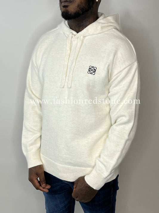 Loewe Hoodie in wool