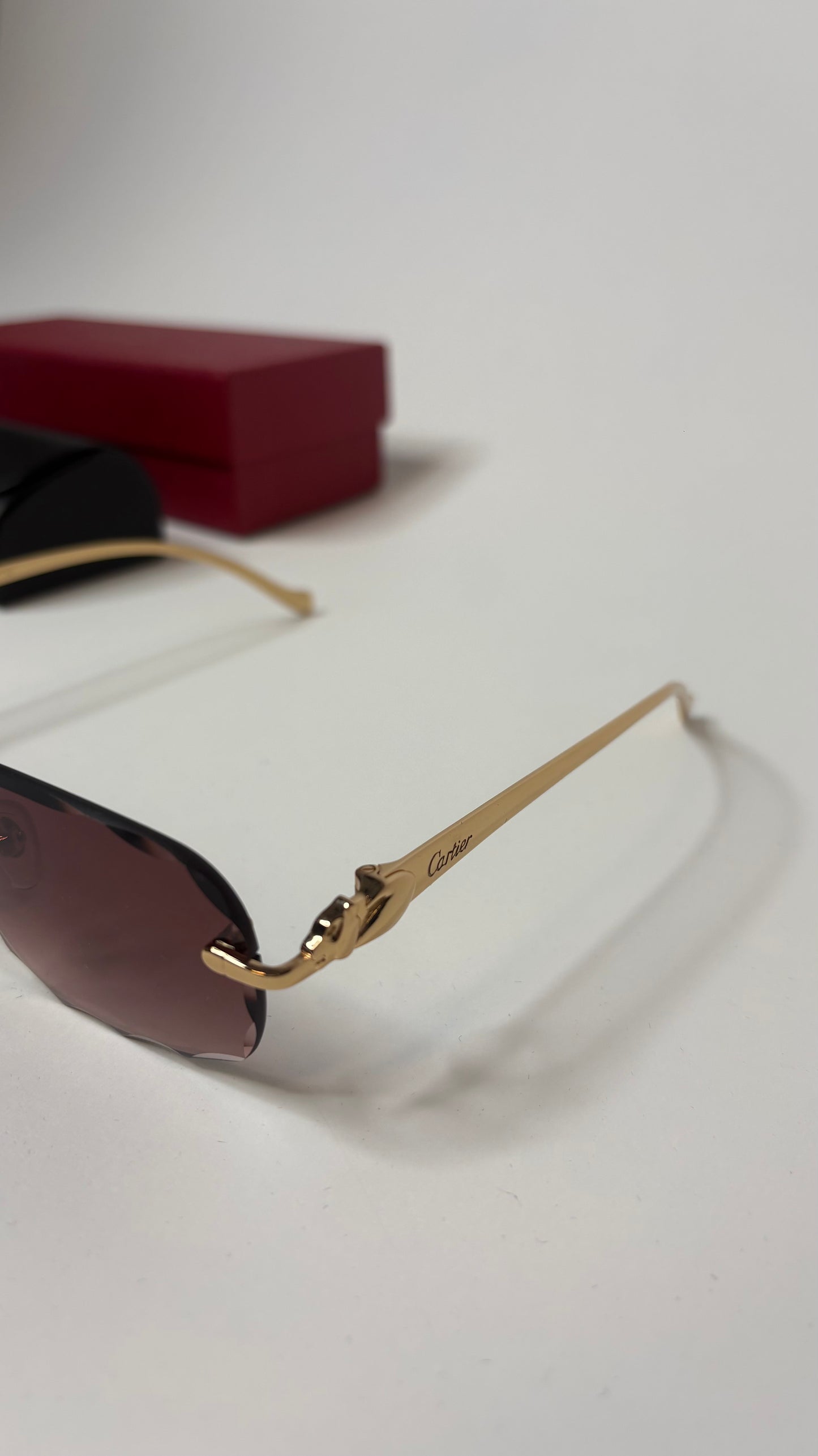 CARTIER – CT0281O-002