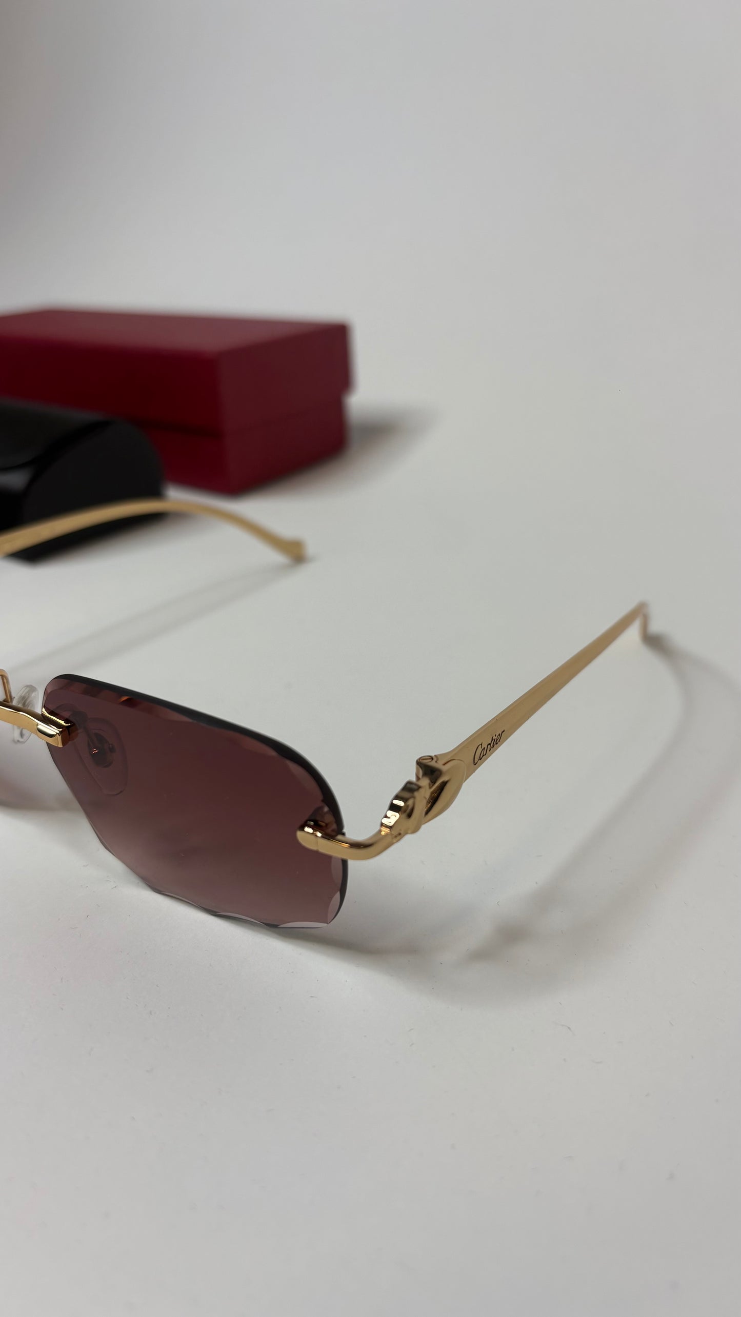 CARTIER – CT0281O-002