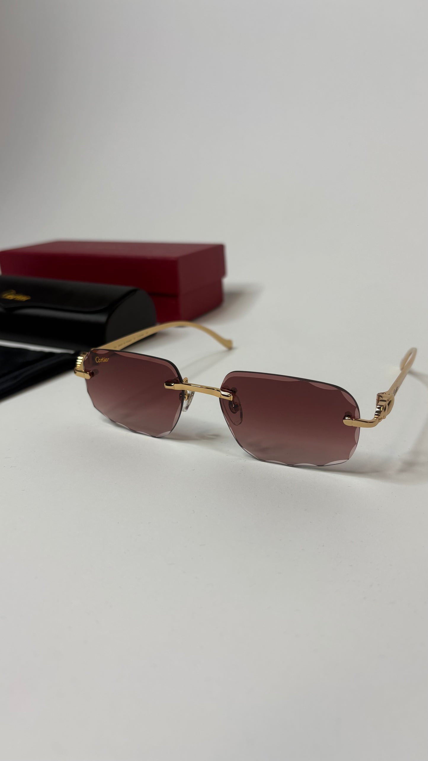 CARTIER – CT0281O-002