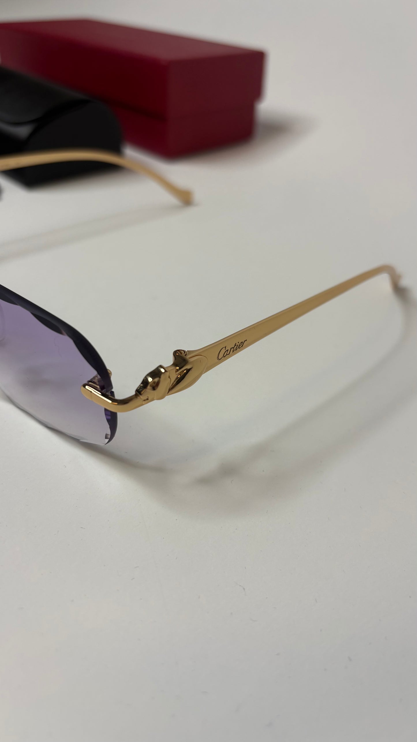 CARTIER – CT0281O-001